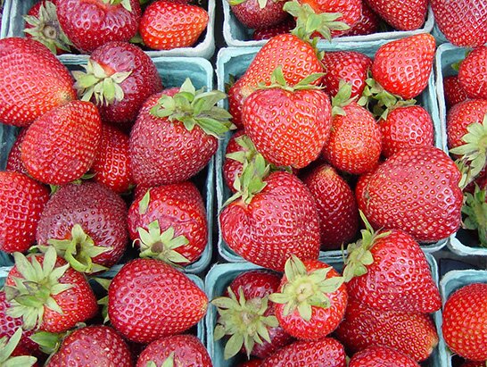 Strawberries, in season